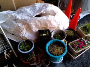 新しい現場が始まりました 本文画像