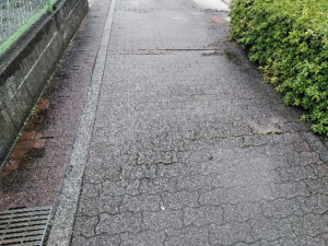 街でも目にする… 本文画像