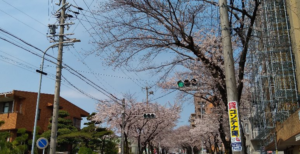 現場での感染予防対策 本文画像