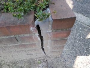 気にして見ると 本文画像