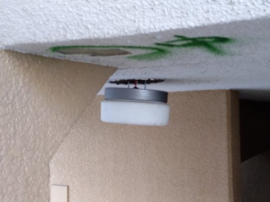 照明の吊り下げ 本文画像