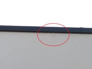 検査の重要性 本文画像