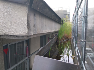 樋のお手入れ 本文画像