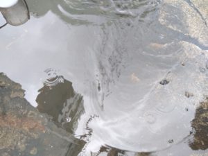 こんな事も 本文画像