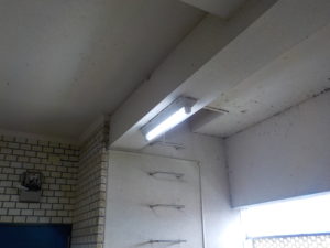 マンション廊下のクモの巣に、クモストップ！ 本文画像