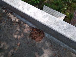 日々のお手入れ 本文画像