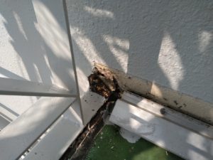 隠れていた不具合 本文画像