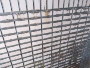 タイル工事は、より綺麗に 本文画像