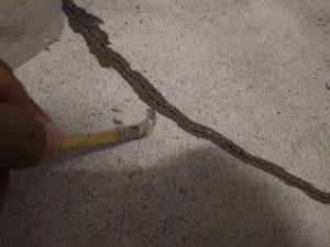 建築用エポキシ樹脂 本文画像