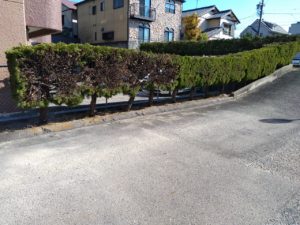 お正月を迎えるために 本文画像