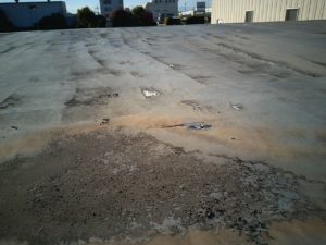 既存防水層の下は… 本文画像