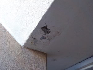 賃貸マンションの建物診断について 本文画像