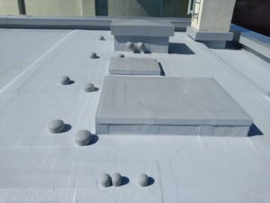 キャップで蓋 本文画像