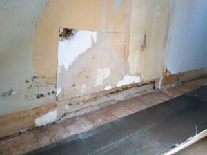 漏水対応後の内装復旧 本文画像