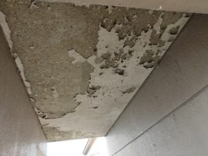 建物再生プロジェクト続編 本文画像