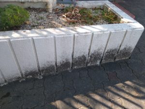 マンションの定期清掃 本文画像