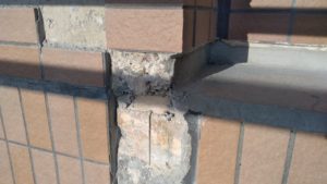 シーリングメジの在り方 本文画像