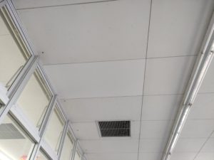 塗装色の選び方 本文画像