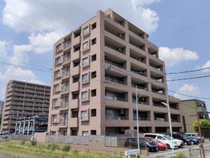 タイル43,000枚！ 本文画像