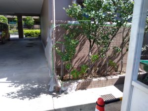 逆勾配 本文画像