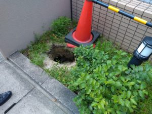 植栽に謎の穴 本文画像