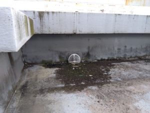 屋上点検のポイント 本文画像