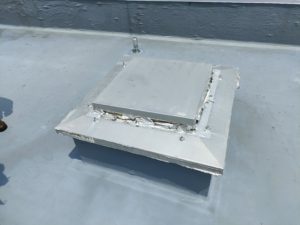 屋上とカラス 本文画像