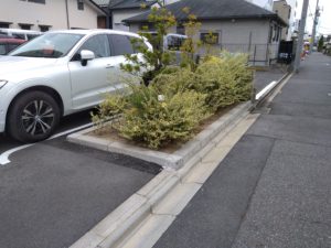 カーブミラー設置 本文画像