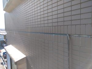 見かけだけで判断は… 本文画像