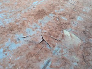 年末のお掃除はぜひベランダも！！ 本文画像