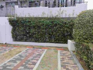 植栽のお手入れ 本文画像