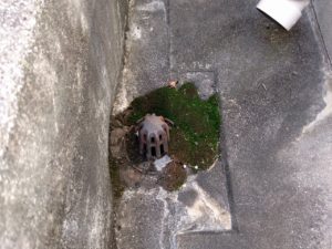 人が住むことの大切さ 本文画像