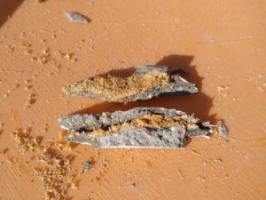 誘発目地新設 本文画像