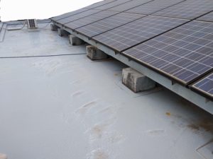 百聞は一見に如かずというけれど・・・。 本文画像