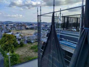 台風養生 本文画像