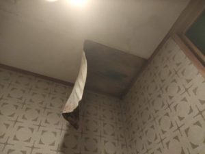 トイレの天井からの雨漏れ 本文画像