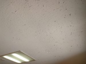 天井がボロボロに 本文画像