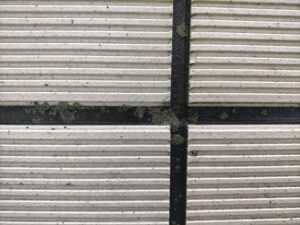 気持ちもスッキリ 本文画像