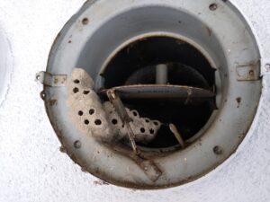 蜂の巣 本文画像