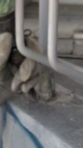 手摺根本の腐食 本文画像