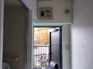 内装クロスに塗装して気分転換 本文画像