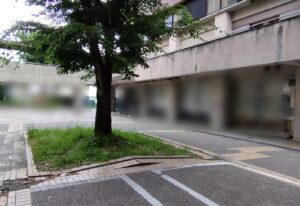 大きな木 本文画像