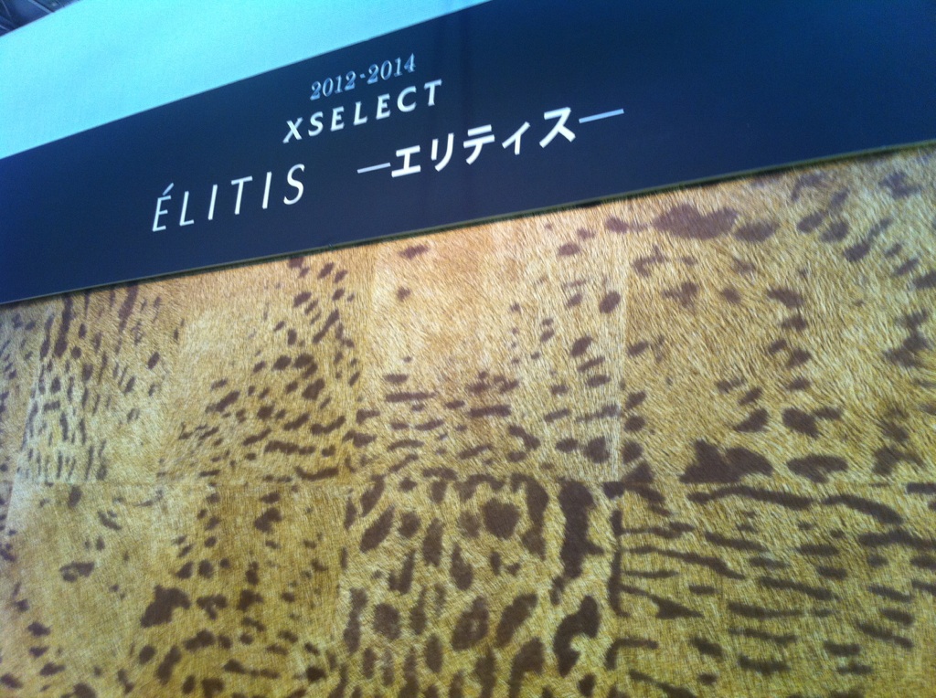 ヒョウ柄 本文画像