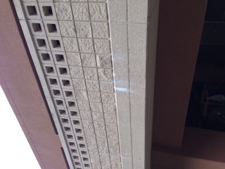 エフロ 本文画像