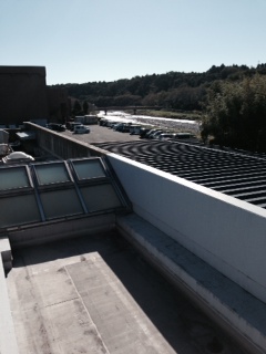 いなべ 本文画像