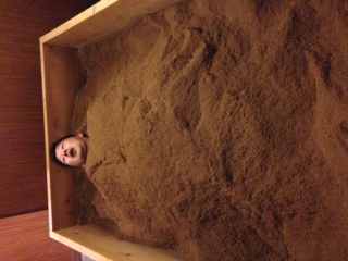 ぬか漬け 本文画像