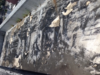 治る？ 本文画像