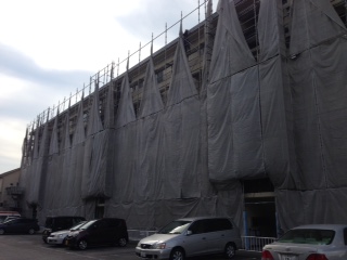 台風養生 本文画像