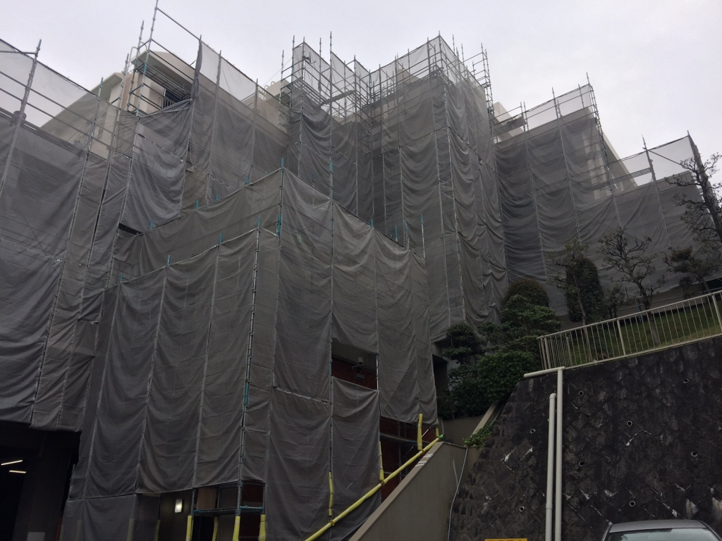 13年の時を経て 本文画像