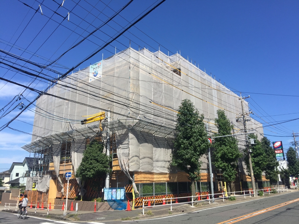 足場に登ると怖い⁈ 本文画像